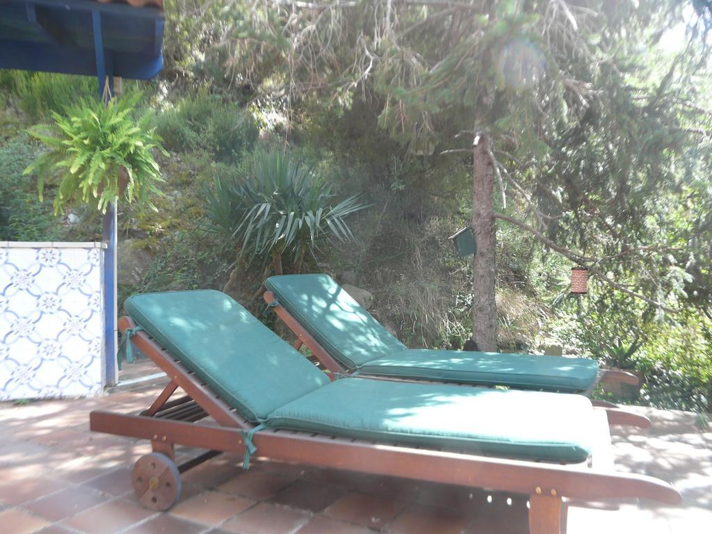 Hostal L'Ou De Reig Montseny Bagian luar foto